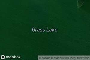 Grass Lake