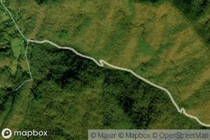 Dryland Laurel Branch