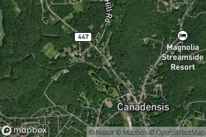 Middle Branch Brodhead Creek