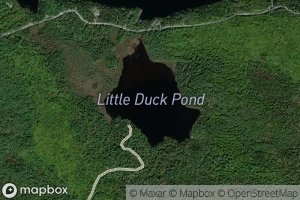 Little Duck Pond