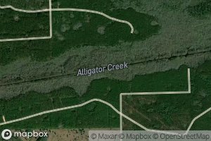 Alligator Creek