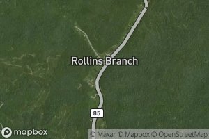 Rollins Branch
