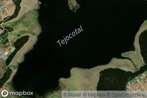 Tejocotal