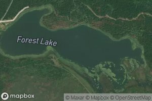 Forest Lake
