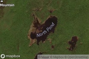 North Pond