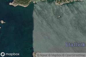 Stallviken