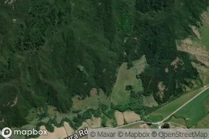 Kotingatahataha Stream