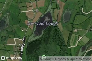 Derrygid Lough