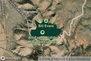 Bill Evans Lake