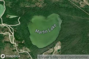 Martin Lake