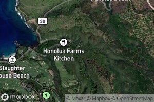 Honolua Stream