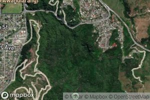 Wainuitewhara Stream