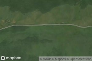 Pad' Domashnyaya Zhebkosha