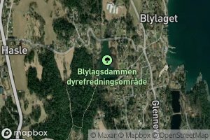 Bloylagdammen