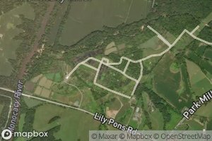 Lily Pons Fish Ponds