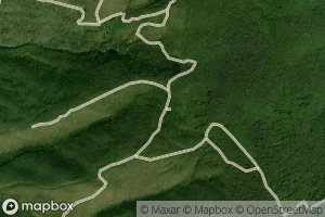 Istochnik Shinkarenko