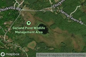Garland Pond