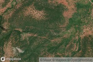 Olchorro Olmeleliani