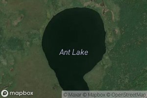 Ant Lake