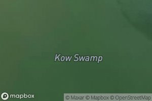 Kow Swamp