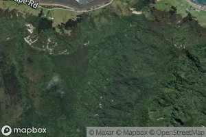 Waipohatuhatu Stream