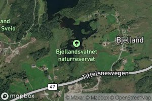 Bjellandsvatnet