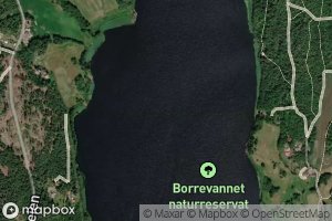 Borrevannet