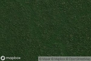 Igarape da Borrachinha