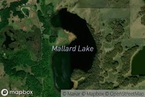 Mallard Lake