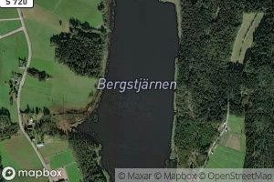 Bergstjarn