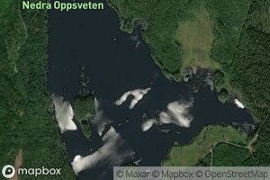 Oppsveten