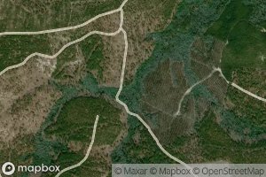 Dismal Spring Branch