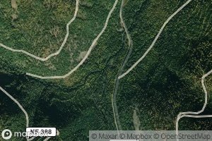 South Fork Trout Creek