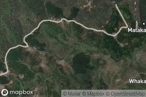 Irimangimangi Stream