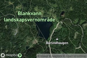 Blankvann