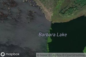 Barbara Lake