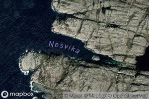 Nesvika