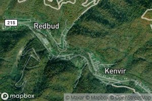 Pounding Mill Branch