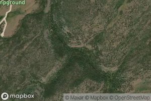 Middle Fork Carter Creek