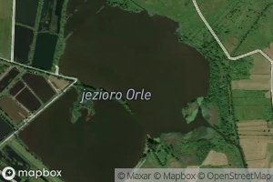 Jezioro Orle