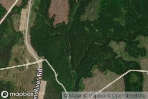 Northeast Branch Little Salmon River