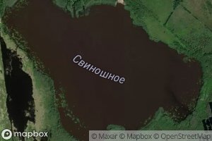 Ozero Svinoshnoye