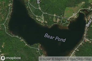 Bear Pond