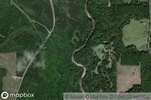 Merritt Springs Branch