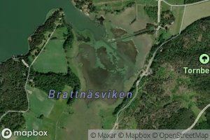 Brattnasviken
