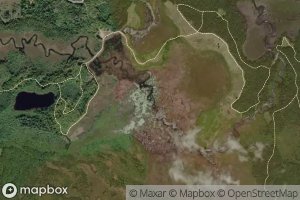 Little Turtle Flowage