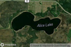 Alice Lake