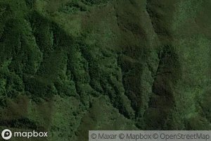 Te Awaokaiwhaka Stream