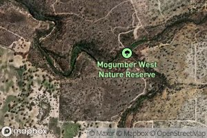 East Branch Moore River