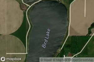 Bird Lake